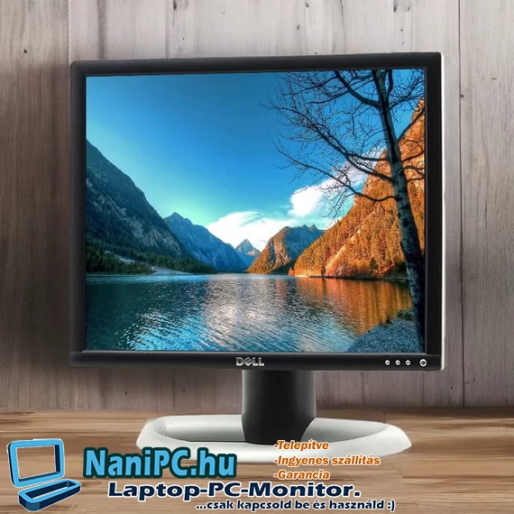Dell 1905FP  19 USB/DVI/VGA monitor