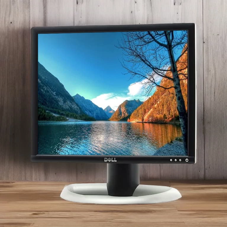 Dell 1905FP 19 USB/DVI/VGA monitor NaniPC